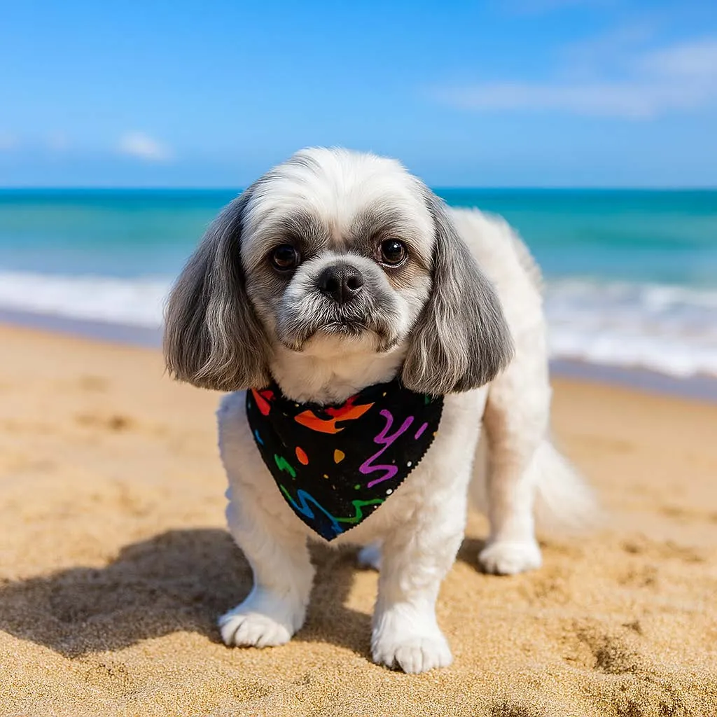 Happy Maltese with a colorful bandana enjoying the Florida beach after a fresh groom at Donna's Doggy Dooz