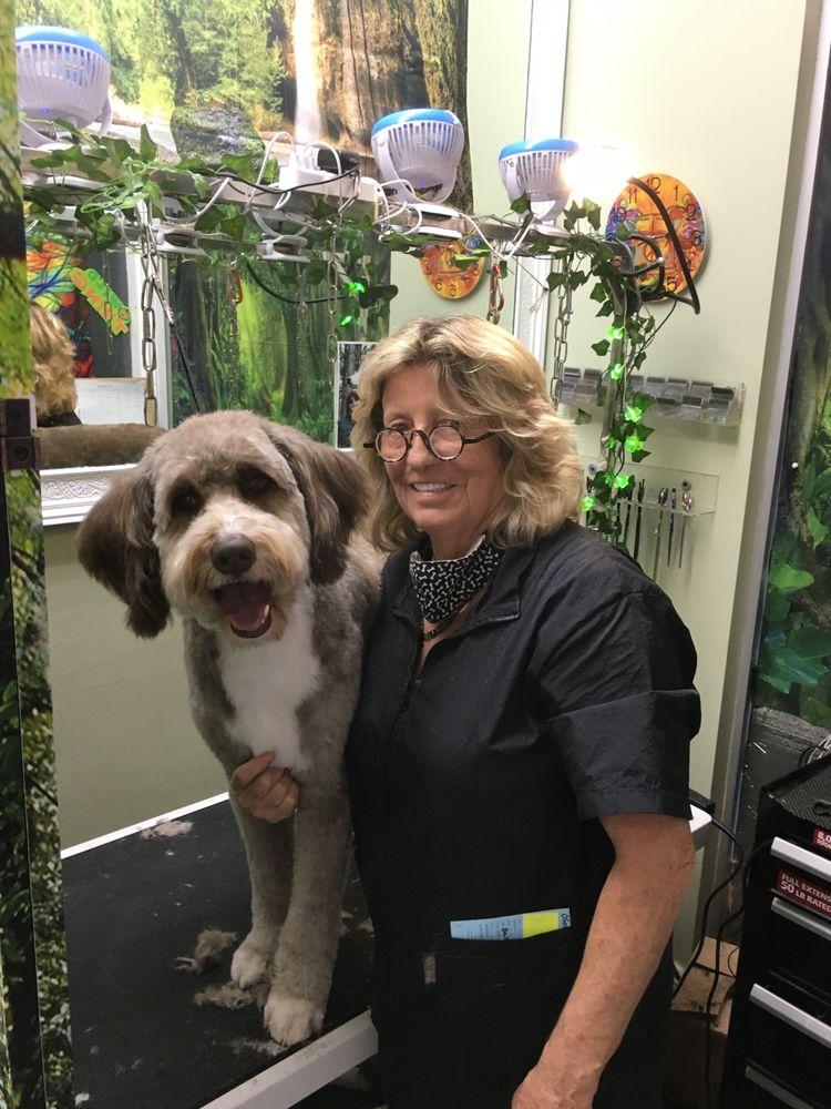 Donna (Madonna Borysewicz) with a freshly groomed grey and white Aussiedoodle client at her grooming salon